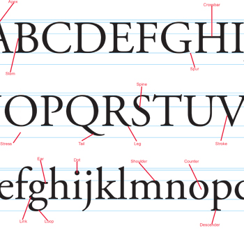 Typography Poster